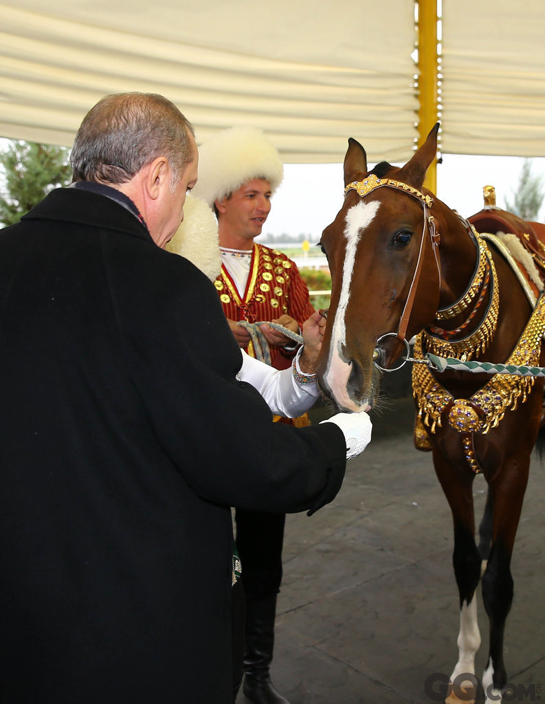  当地时间2014年11月7日，土库曼斯坦阿什哈巴德，土耳其总统埃尔多安(左)给土库曼斯坦总统别尔德穆哈梅多夫赠送的汗血宝马喂食。
