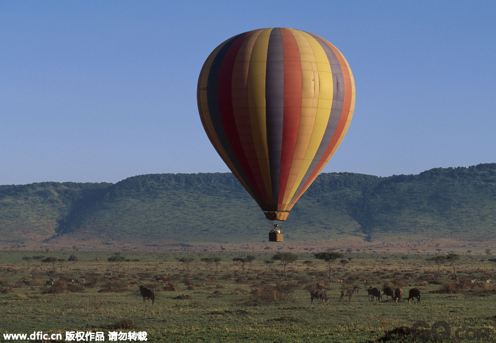肯尼亚，马赛马拉国家公园上空的热气球带你腾空而起，从半空中俯瞰非洲大地。 