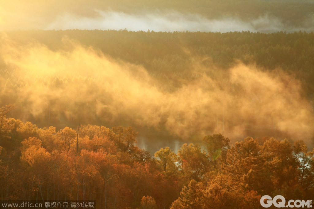 大兴安岭森林秋色，晨雾，雾气，红叶，树林。 