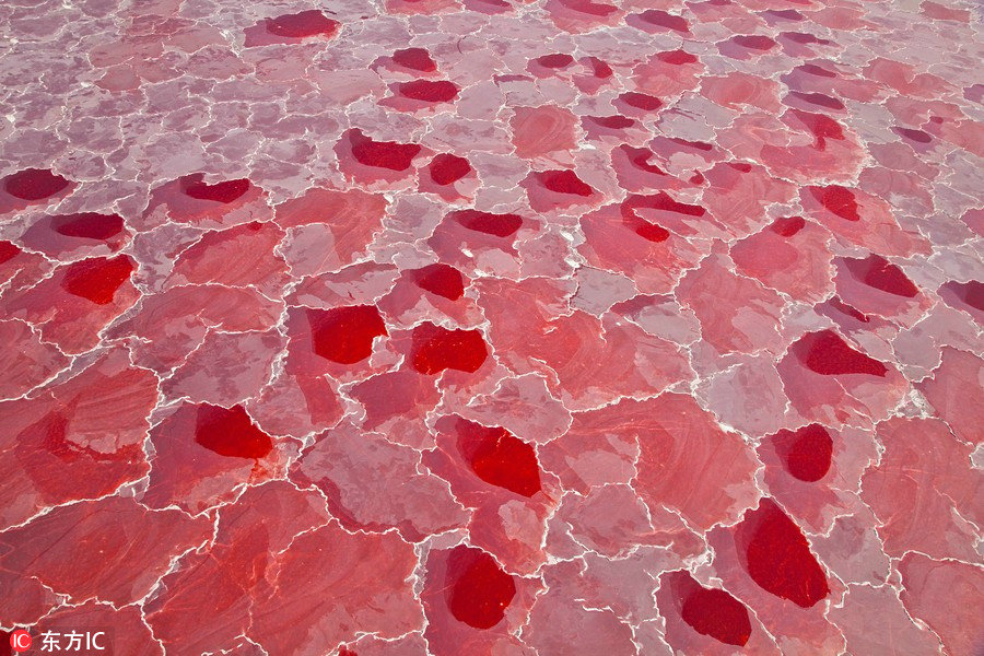 如果地球上真有冥河存在，一定就是位于坦桑尼亚“纳特龙湖”（Lake Natron）。这片看似静止不动的水域隐藏一个致命秘密，它可以使任何碰触到湖水的动物化为石头，因此被科学家称为“石化湖”。随着水位变化，湖水颜色呈现白色、粉红色或豆绿色,浅水区往往是酒红色或咖啡色，看上去非常漂亮。