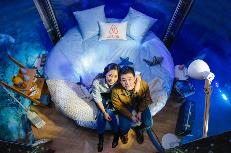 中国情侣入住Airbnb巴黎水族馆与鲨鱼“共眠”