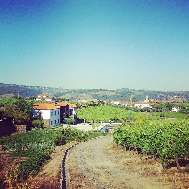 从北向南游遍葡萄牙最著名的十家酒庄（下）