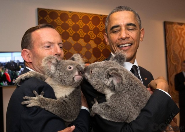  当地时间2014年11月15日，澳大利亚布里斯本，G20峰会在当地举行，美国总统奥巴马与澳大利亚总理阿博特怀抱考拉，两只考拉甜蜜亲吻。