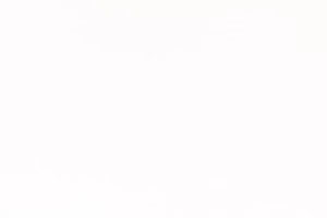 喜行乐 X Zara 甲辰龙年联名系列发行——智族GQ专访喜行乐品牌创始人罗卉 王菁