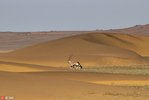 摄影师探访人烟罕至的纳米比亚沙漠 拍下遗世美景 