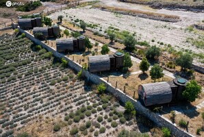 土耳其伊兹密尔，当地推出的独立平房小屋成为度假新选择。