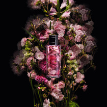 Dior迪奥香氛世家典藏系列 经典芳息焕化为灵动花卉-最热新品