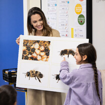 安吉丽娜•朱莉在法国与娇兰共同主持娇兰蜜蜂学校课程 助力提高年轻一代对蜜蜂保护和生物多样性的认识-生活资讯
