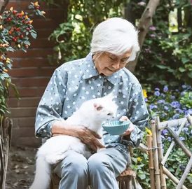 吳彥姝 從“國民奶奶”到天壇獎影后，一位84歲演員的背后故事