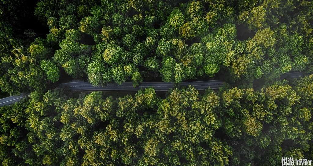 一位自然爱好者从空中俯拍了一组迷人的丹麦森林风光,美不胜收.