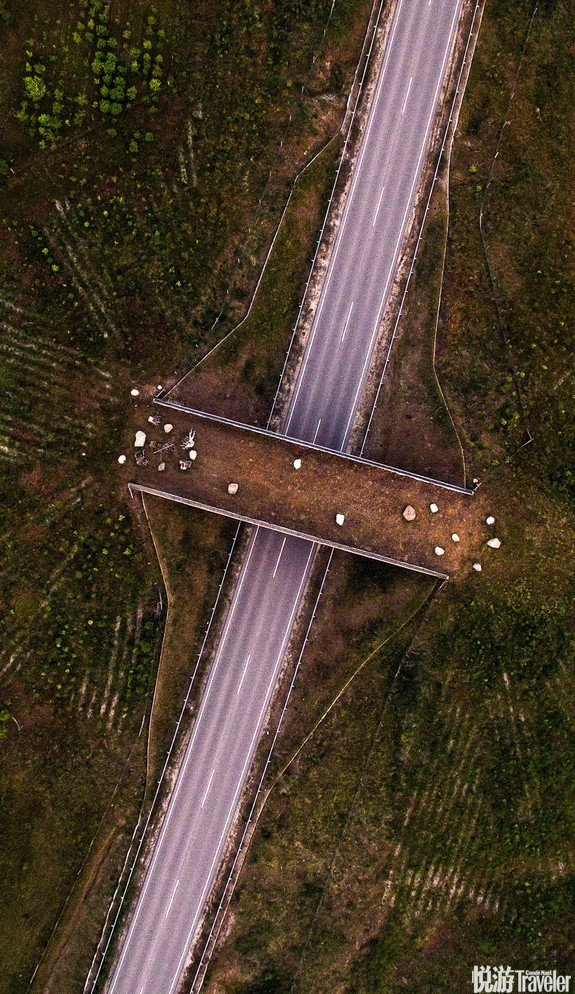 无人机航拍丹麦森林上帝视角展现震撼自然美景
