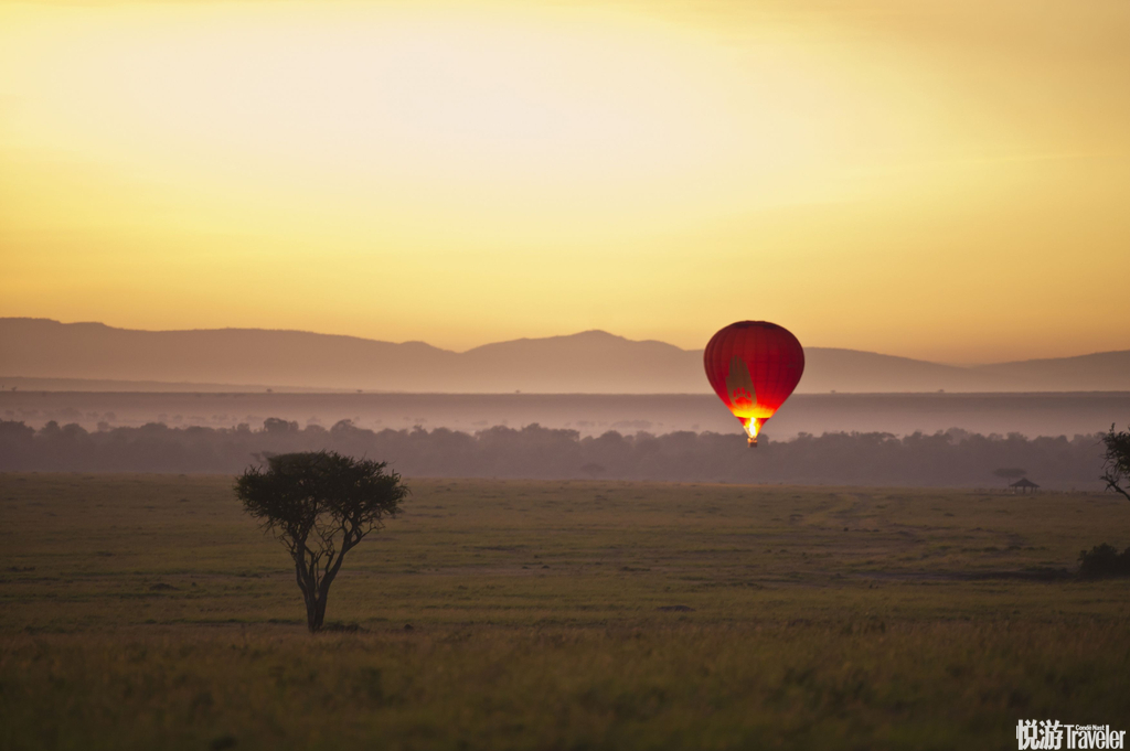 肯尼亚马赛马拉清晨乘坐热气球在宁谧平静的晨曦中，穿过非洲这片原始土地的大草原和河流。数以千计的斑马...