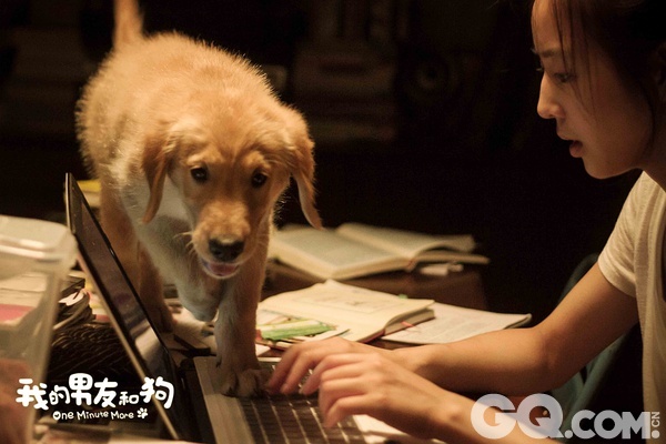 治愈系宠物电影《我的男友和狗》将于6月19日登陆全国各大影院，一个动人故事，两个真心约定，欲将给大家带来全城热泪的观影期待。