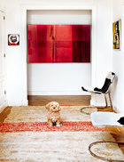 过厅里，Montse的宠物狗Smith蹲在购自EL 8的上世纪70年代的马皮椅前。