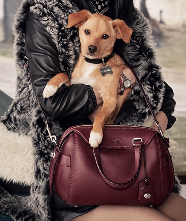 coach发布新一轮"coach pups"广告形象大片