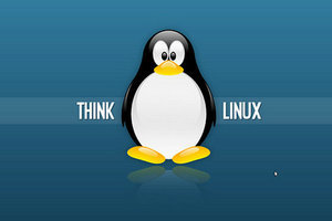 功能齐全小应用 让你玩转Linux