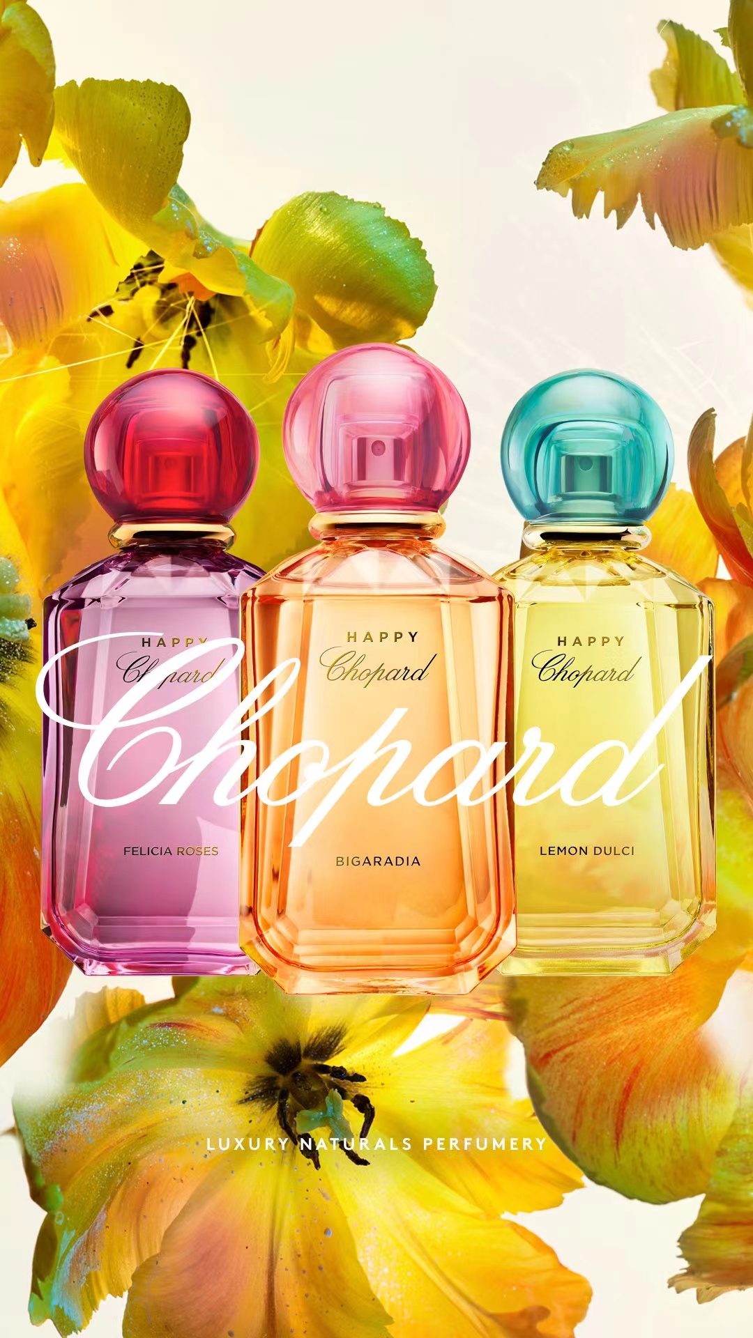 成毅成为萧邦香氛品牌大使