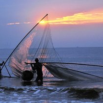 休渔期结束 12座滨海城市的大波海鲜正在靠近-美食